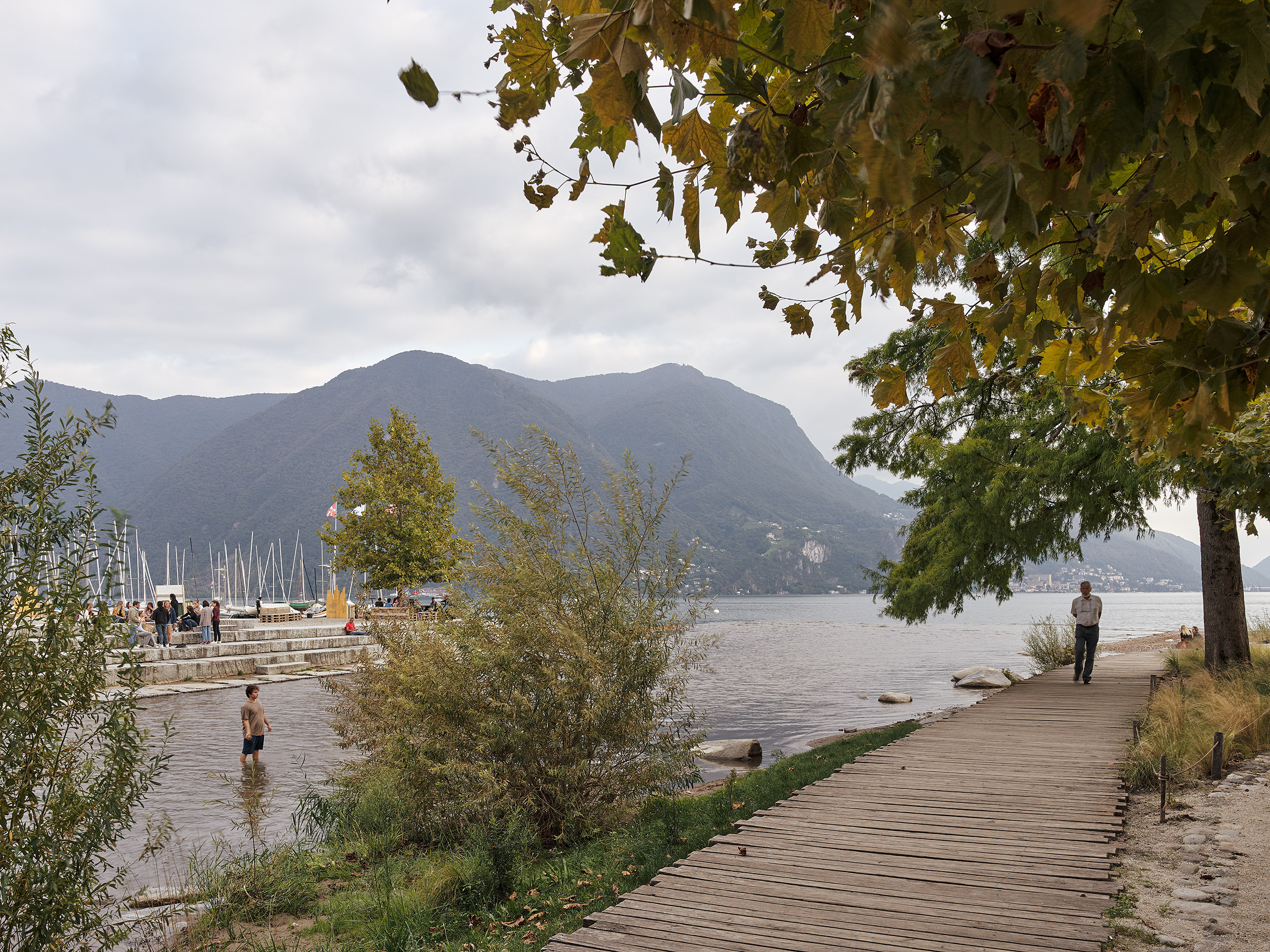 Ahp0053 CASS AIQ4 002513 C